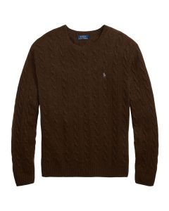 POLO Ralph Lauren Trui Ronde Hals – Bruin