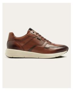 Greve Sneaker Walker Mogano Corsaro Calf